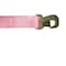 Tie 4 Safe 2" x 10' Wheel Lasso Lift Strap w/ Flat Snap Hook Tow Dolly Pink, 2PK TWS21-2510-M3-PK-C-2 - alternate 4